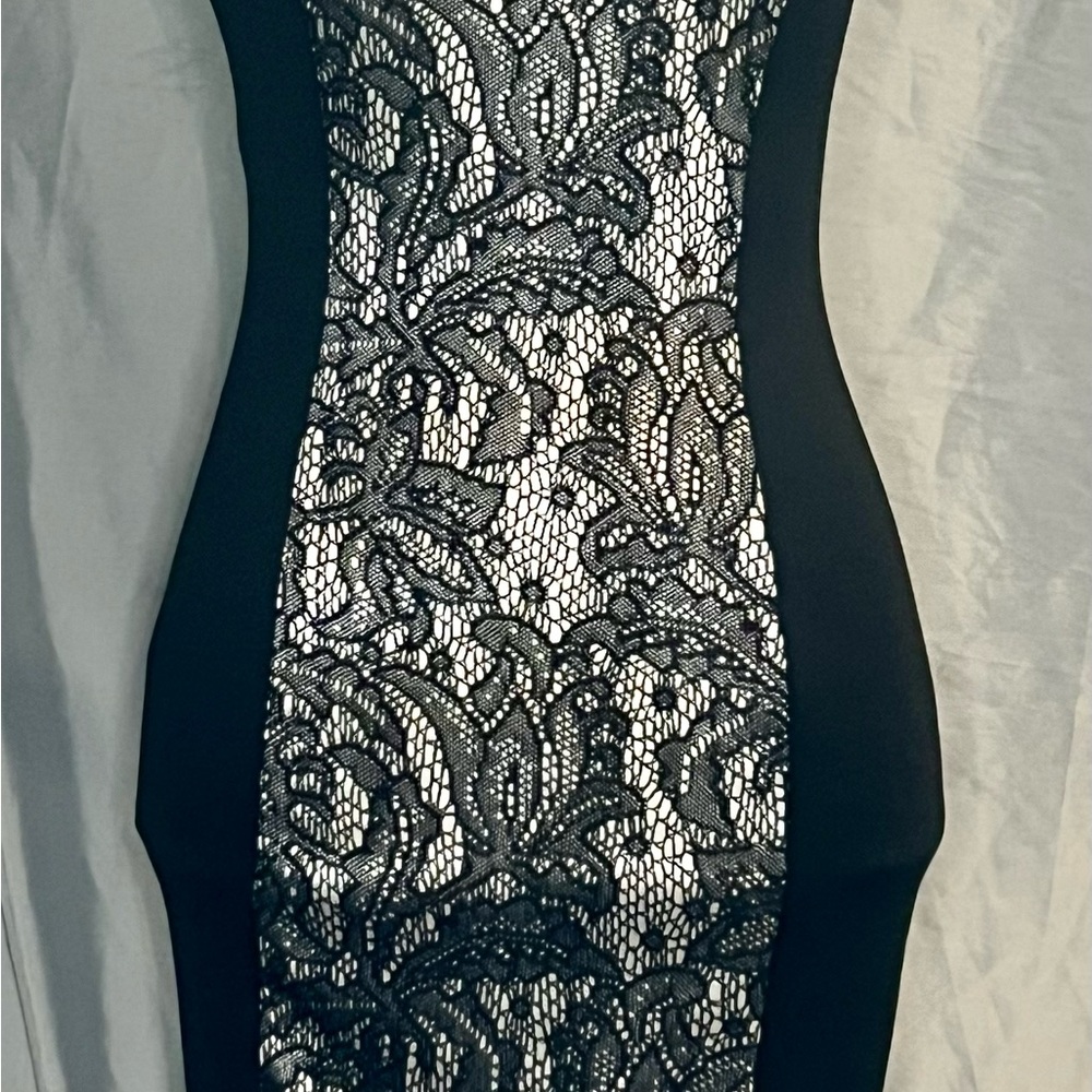 Wild Daisy Women Black Bodycon Dress